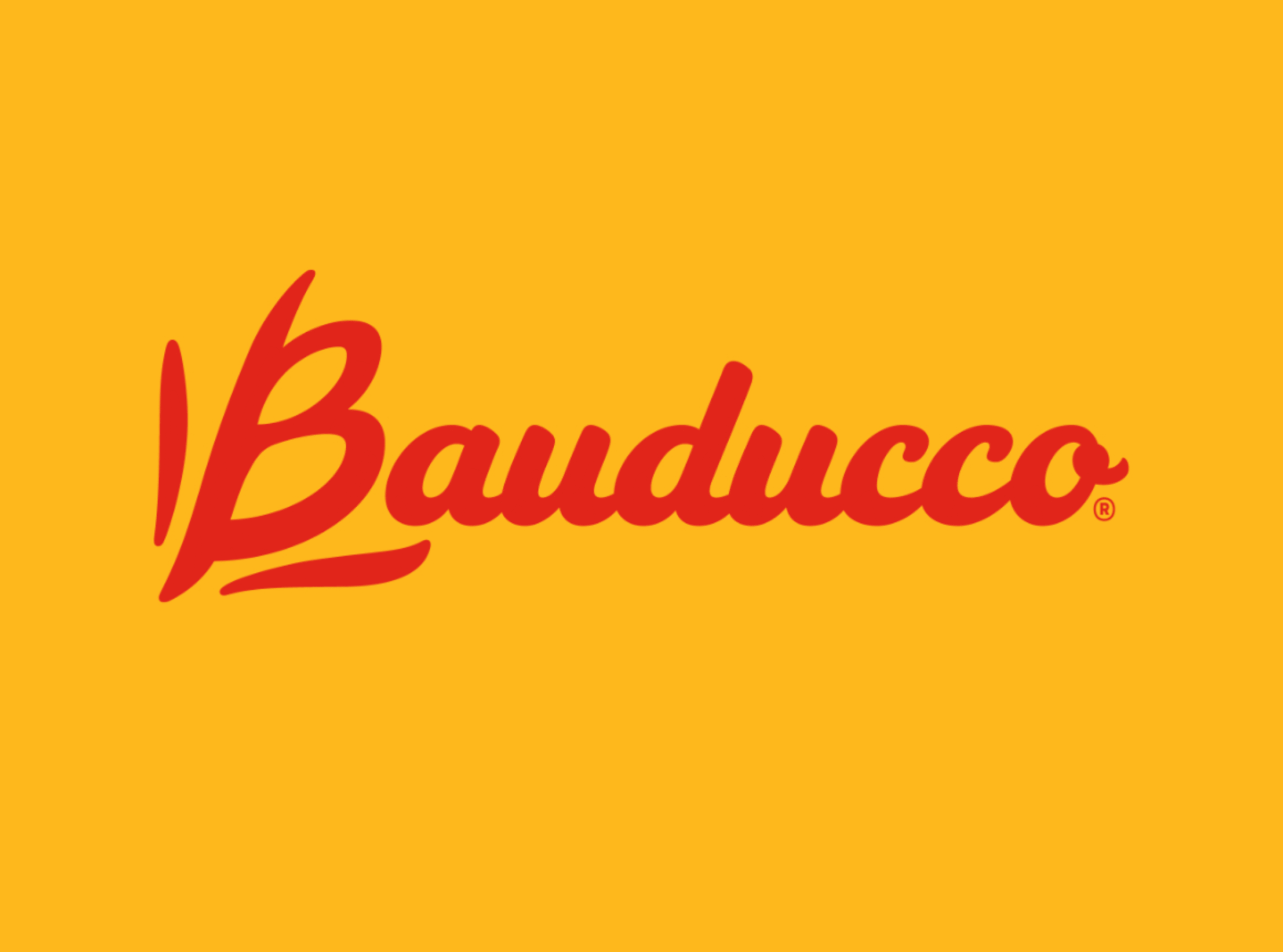 Bauducco